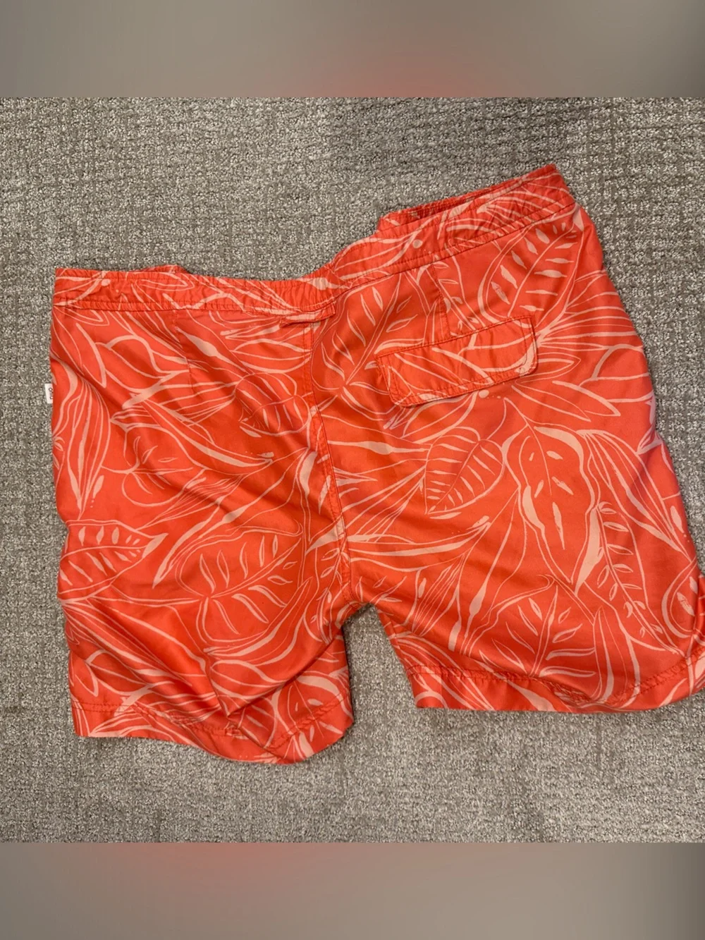 Onia Men's Charles Leaf-Print Swim Shorts Sz 36